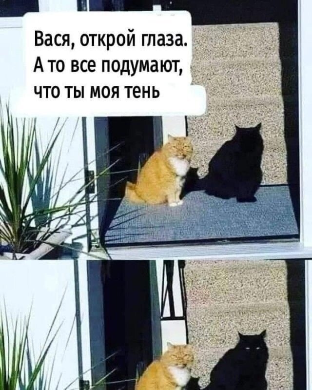 Посмеялся сам - поделись с другом!!!