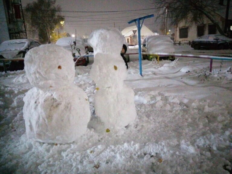    В Оренбуржье 3 ноября синоптики прогнозируют снег на весь день Андрей Севостьянов