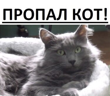 Фото из свободного источника 