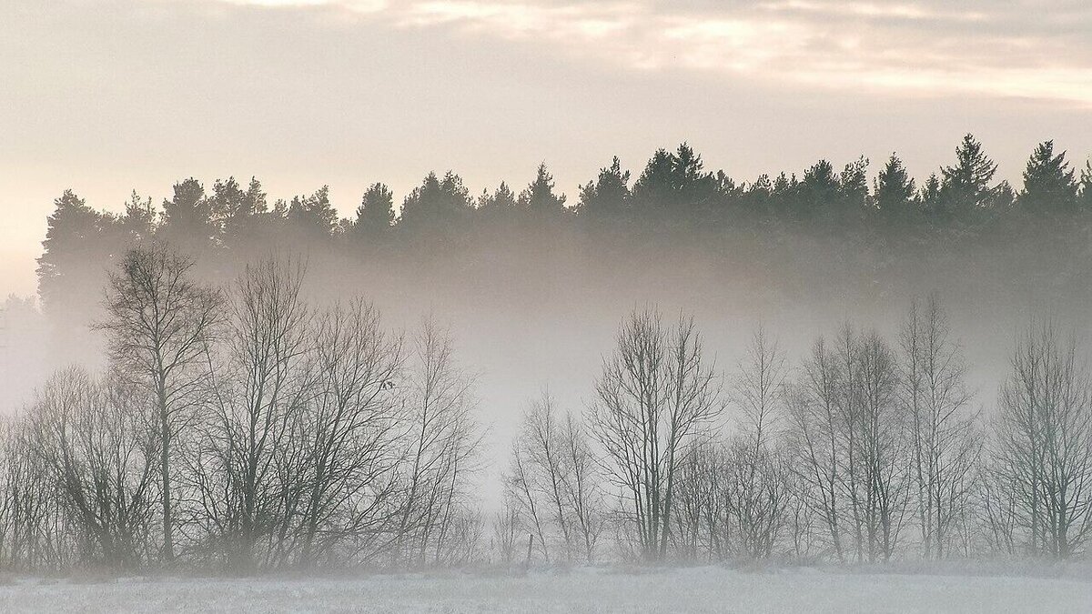     На Ставрополь опустился туман и начались дожди, предупредили водителей в региональном УГИБДД.