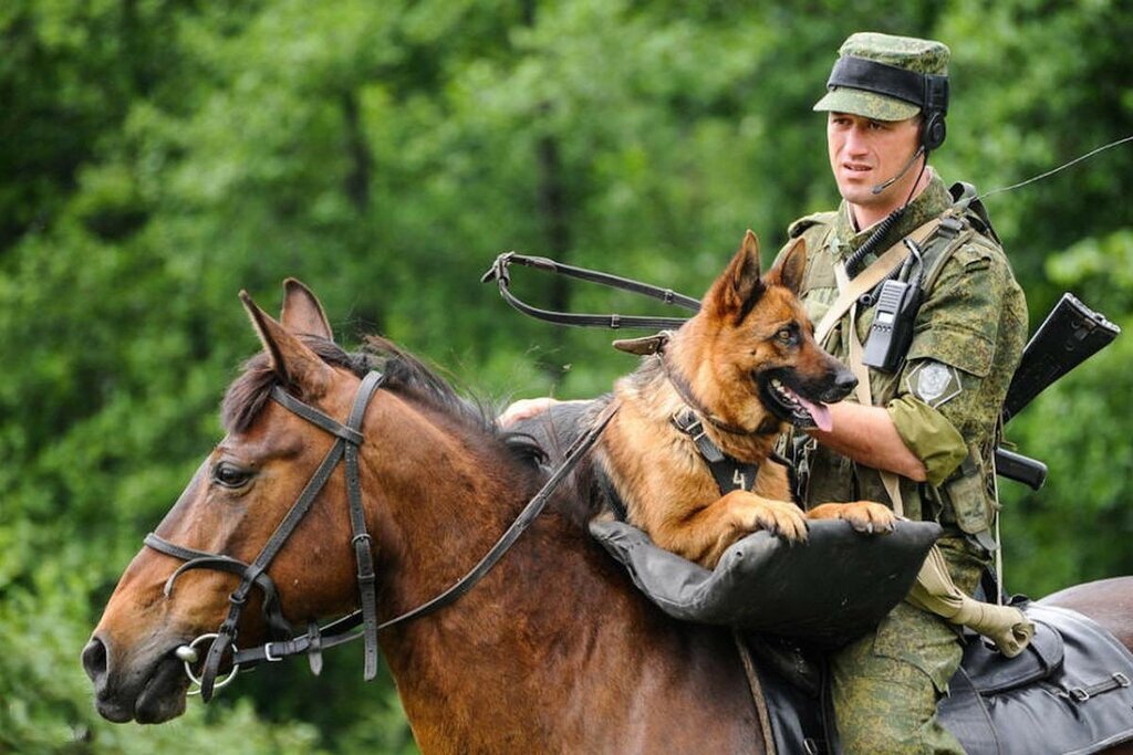 (иллюстрация из открытых источников)