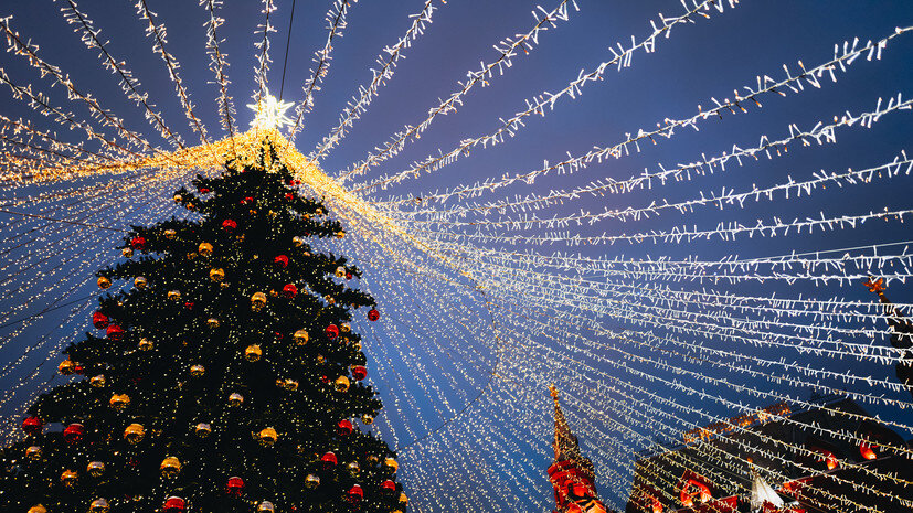   Gettyimages.ru Kseniia Kapris / EyeEm