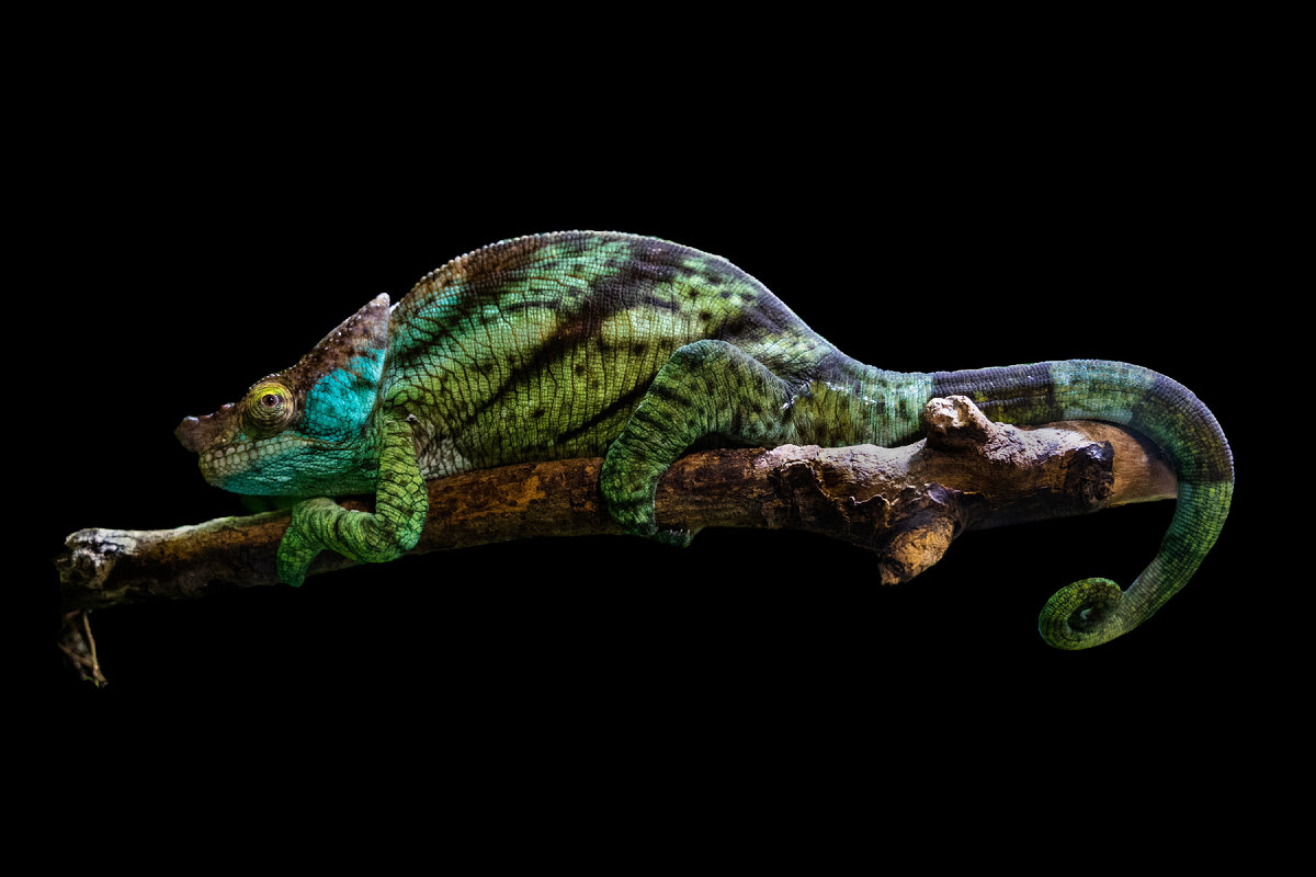фото с сайта https://unsplash.com/