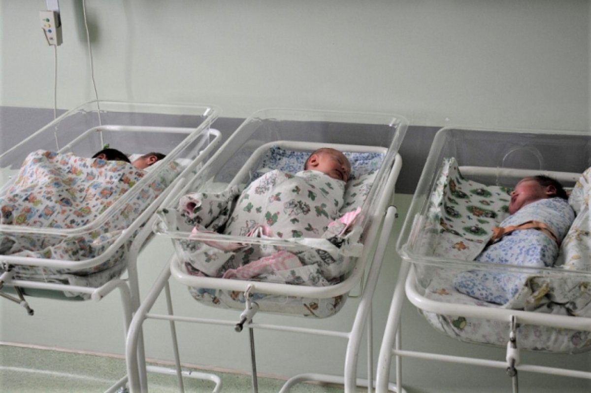    На Кубани благодаря процедуре ЭКО родилась вторая тройня с начала 2022 года