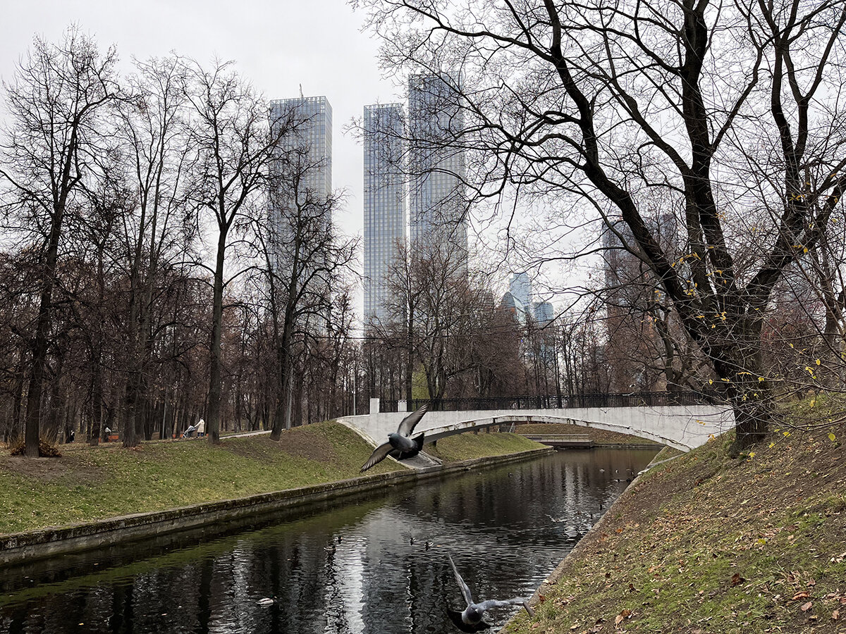 Московский парк, где красиво даже поздней осенью. Советую для прогулки! |  Путешествия по России с ted.ns | Дзен