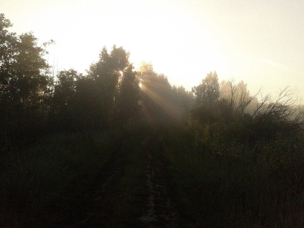 Начало нового дня