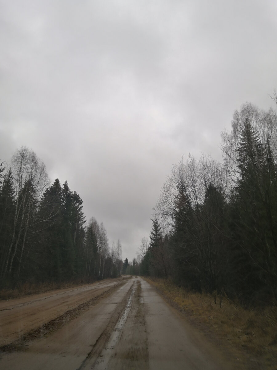 Наша погода