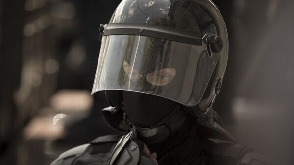   © Sputnik / Rodion Proca