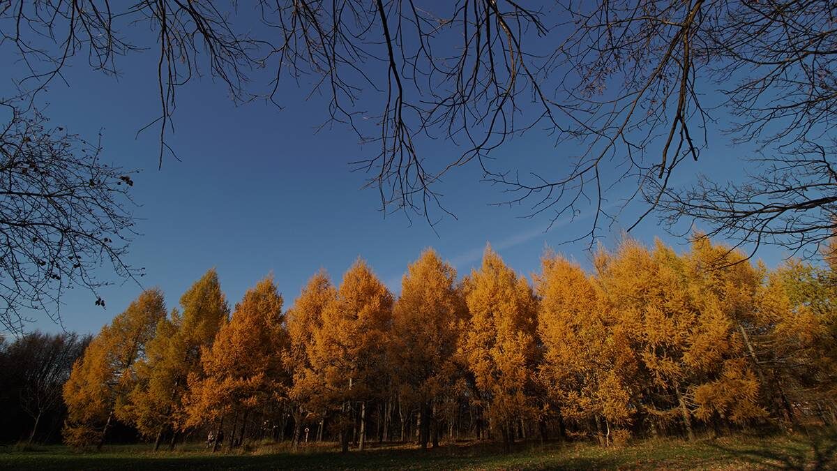   Фото: Анатолий Цымбалюк / Вечерняя Москва