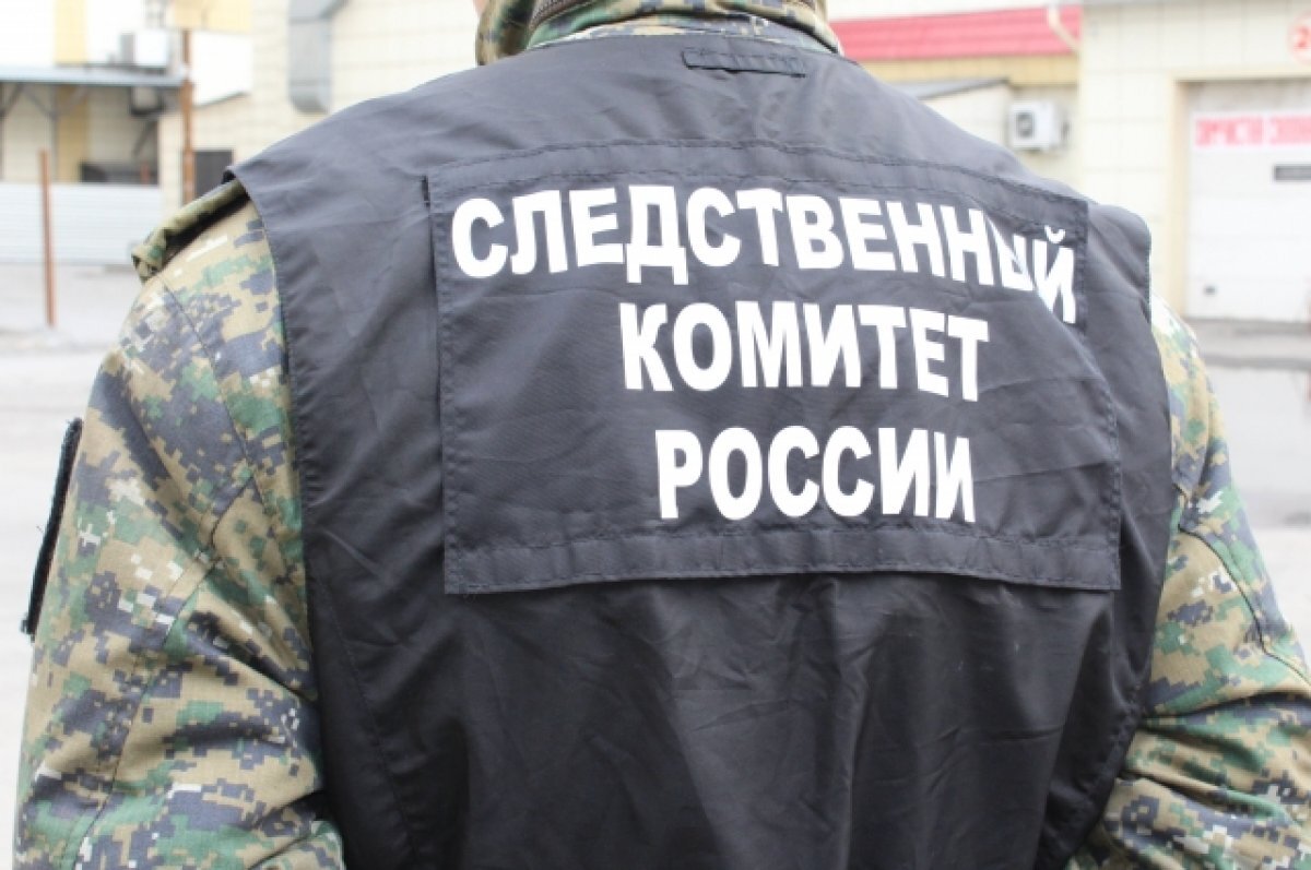    Следователи раскрыли подробности убийства семьи с ребёнком в Пермском крае