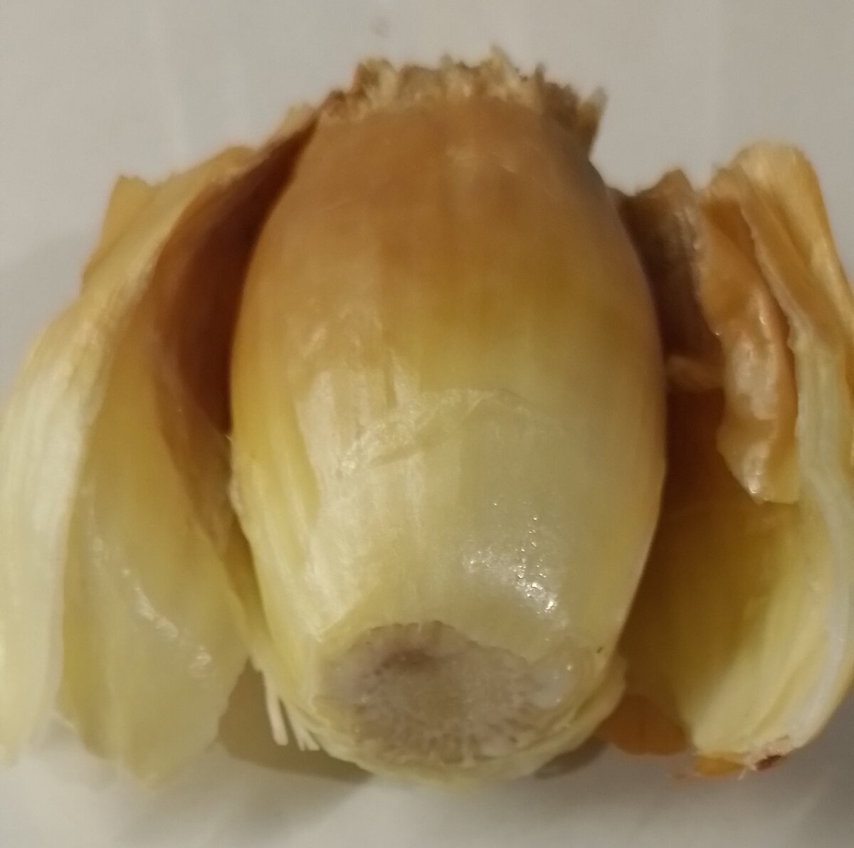 Внутренняя часть луковицы буреет и приобретает  вид печёной