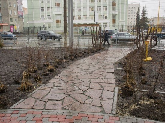     фото: телеграм-канал Елены Ситниковой