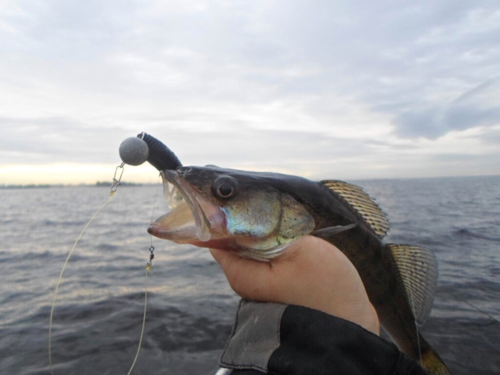 Добавьте описание