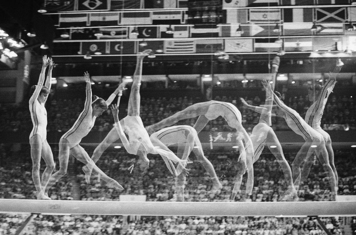 Каких птиц выпускали на олимпийских играх. Каких птиц традиционно выпускают на открытии олимпийских игр ответ. Каких птиц выпускали на олимпийских играх. Церемонии открытия олимпийских игр голуби. Каких птиц выпускали на олимпийских играх.