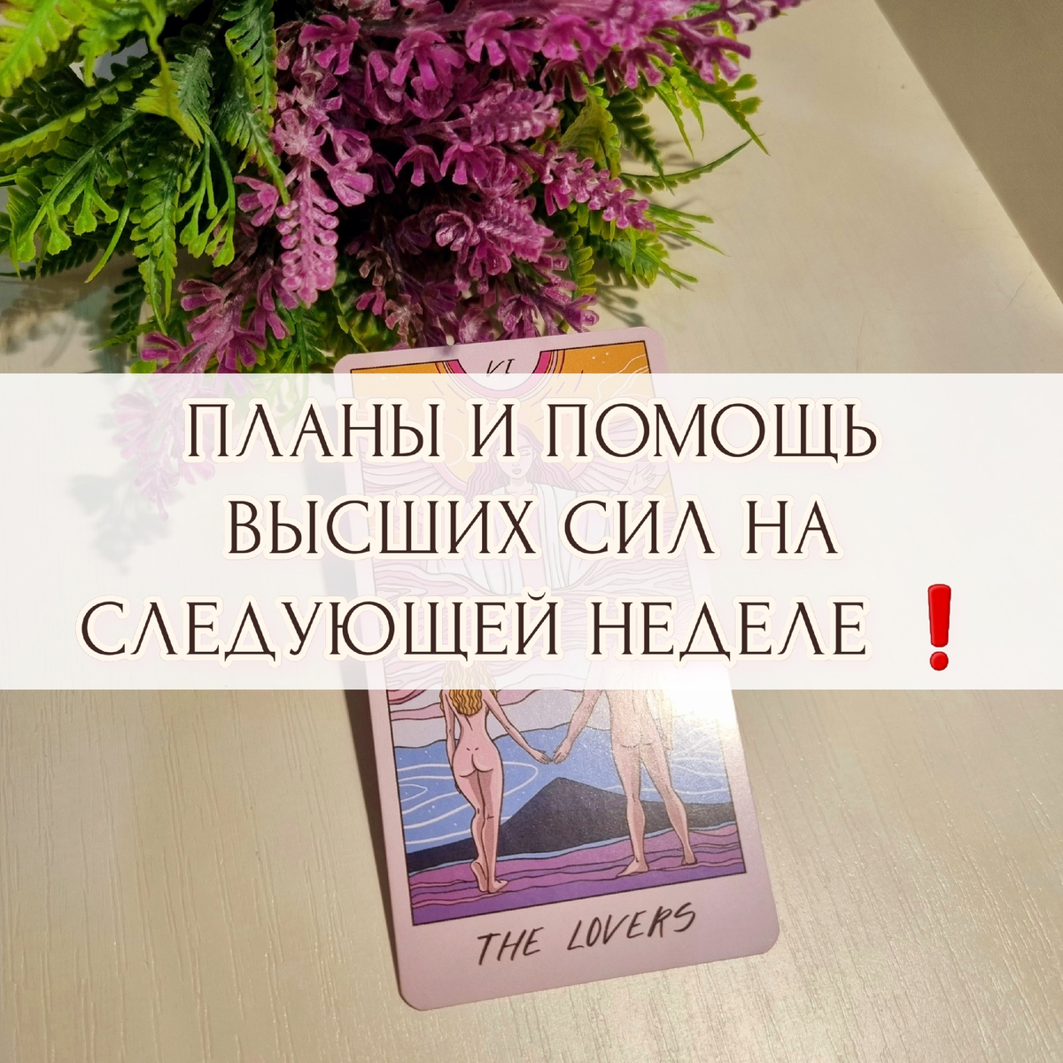 Планы на следующую неделю