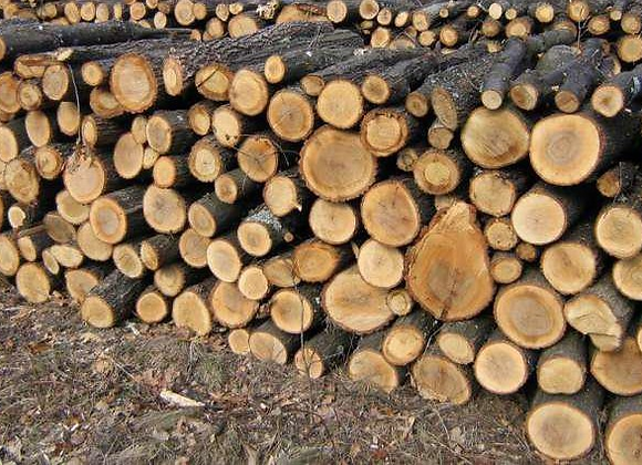 Фото из интернета: примерно такая метровка и у нас, только бревна раза в два толще.