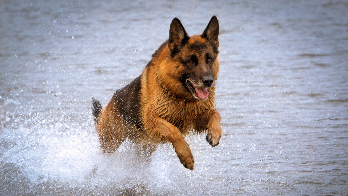 источник фото: s4.fotokto.ru