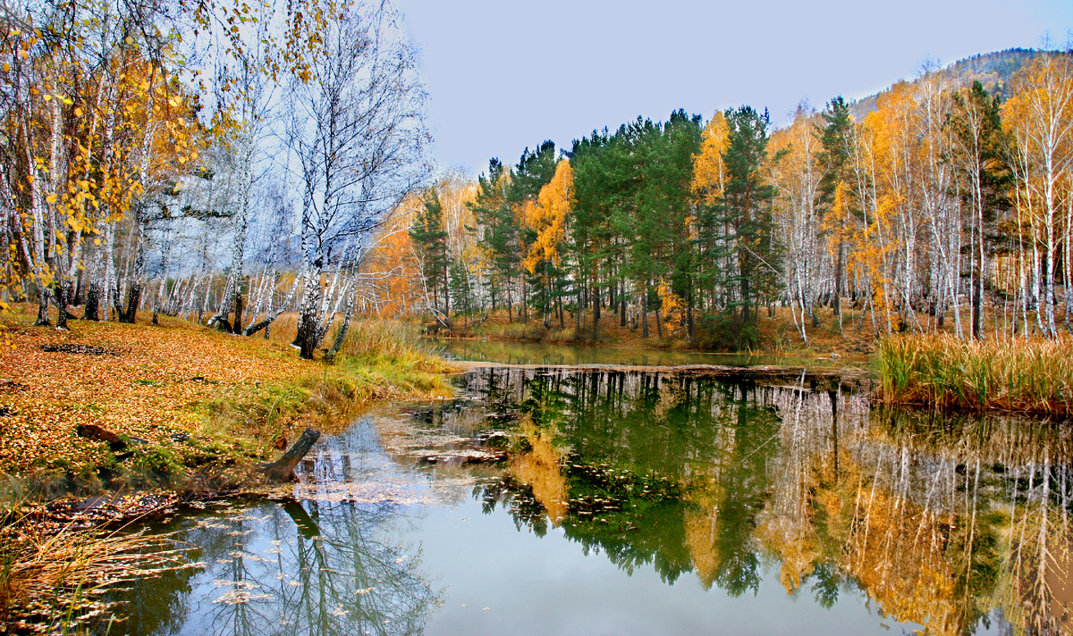 Фотография, стихотворение Василия Глуцкого