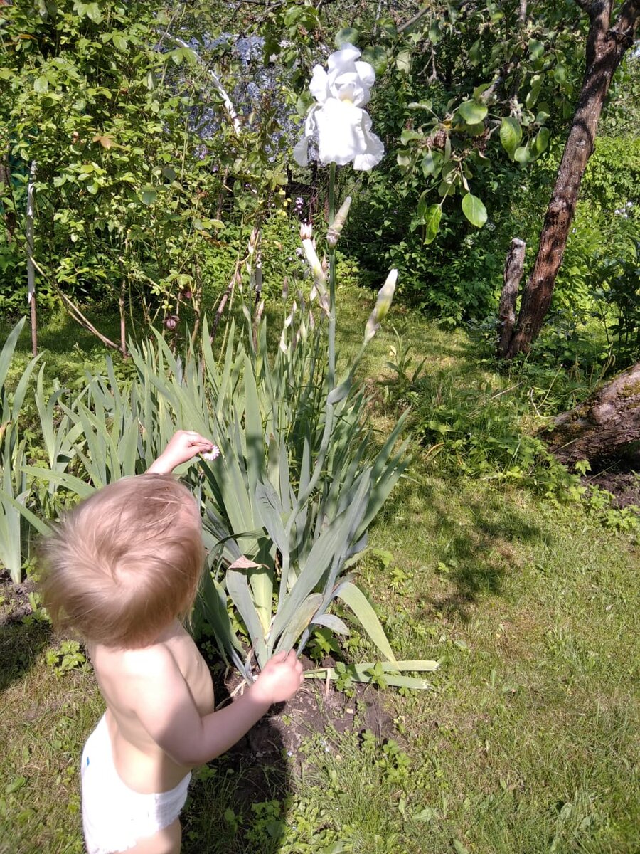 Вот такой вышины!