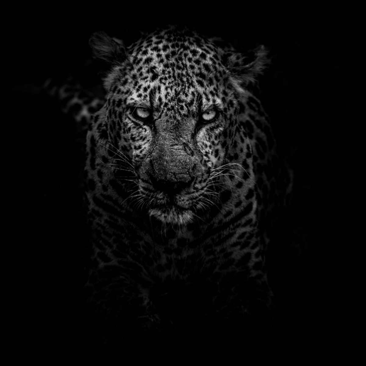 У 57 ворот очень избирательный слух, и обладателю этой энергии важно не затыкать уши наушниками, особенно в общественных местах, так как интуитивная осознанность 57-х работает именно когда «ушки на макушке», когда они открыты и восприимчивы к любым звуковым вибрациям. 