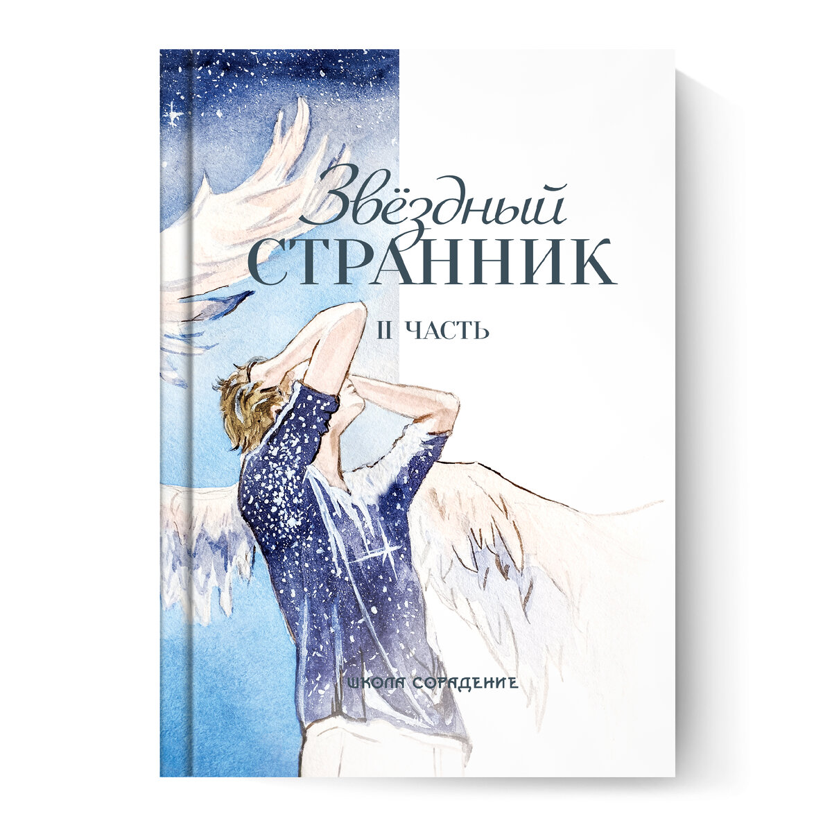 Звёздный Странник книга. Звездный скиталец книга. Книга Странник по звездам.