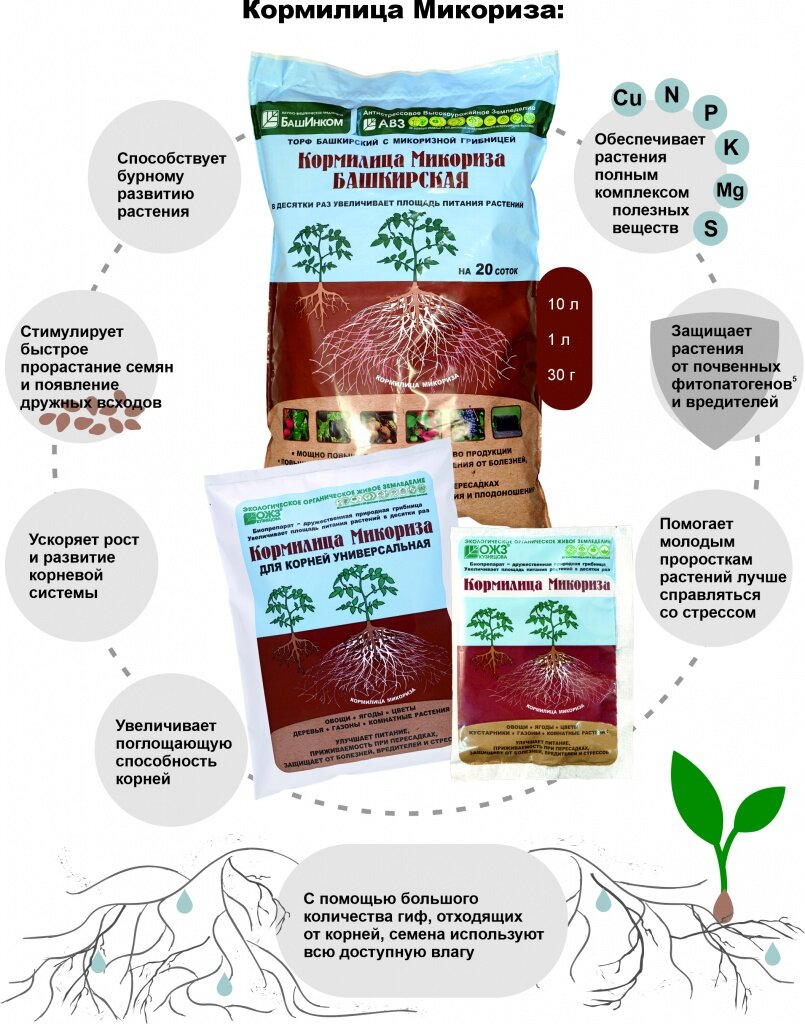 Микориза для овощей. Микориза БАШИНКОМ. Микориза удобрение инструкция. Кормилица микориза. Микориза для рассады.