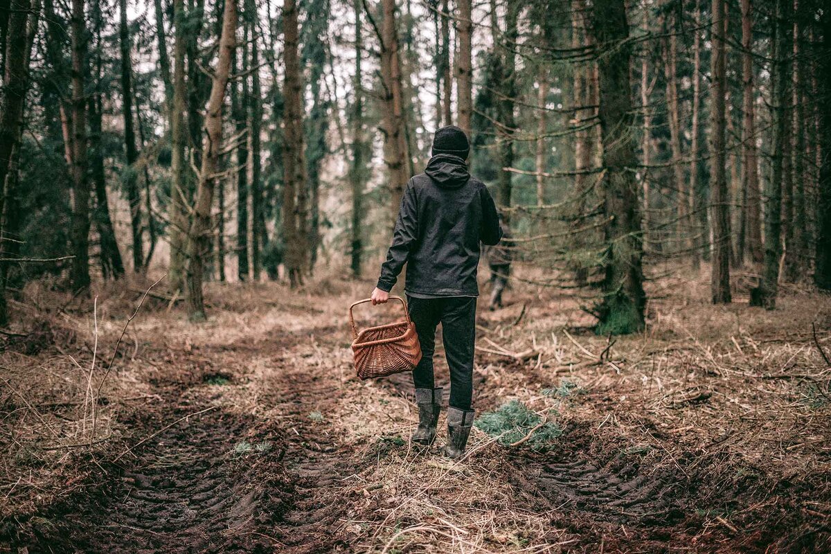    Грибной сезон в Краснодарском крае длится с конца апреля по ноябрь.Фото: unsplash.com