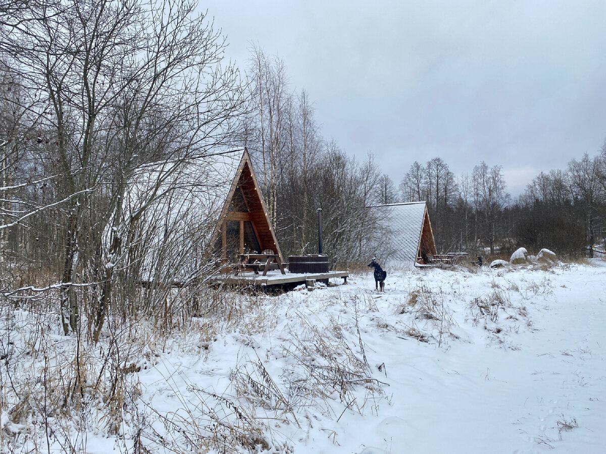 Плюсы и минусы отдыха в Shanti Home Озеро в зимнее время ❄️ | Маршруты и  прогулки по Питеру и области | Дзен