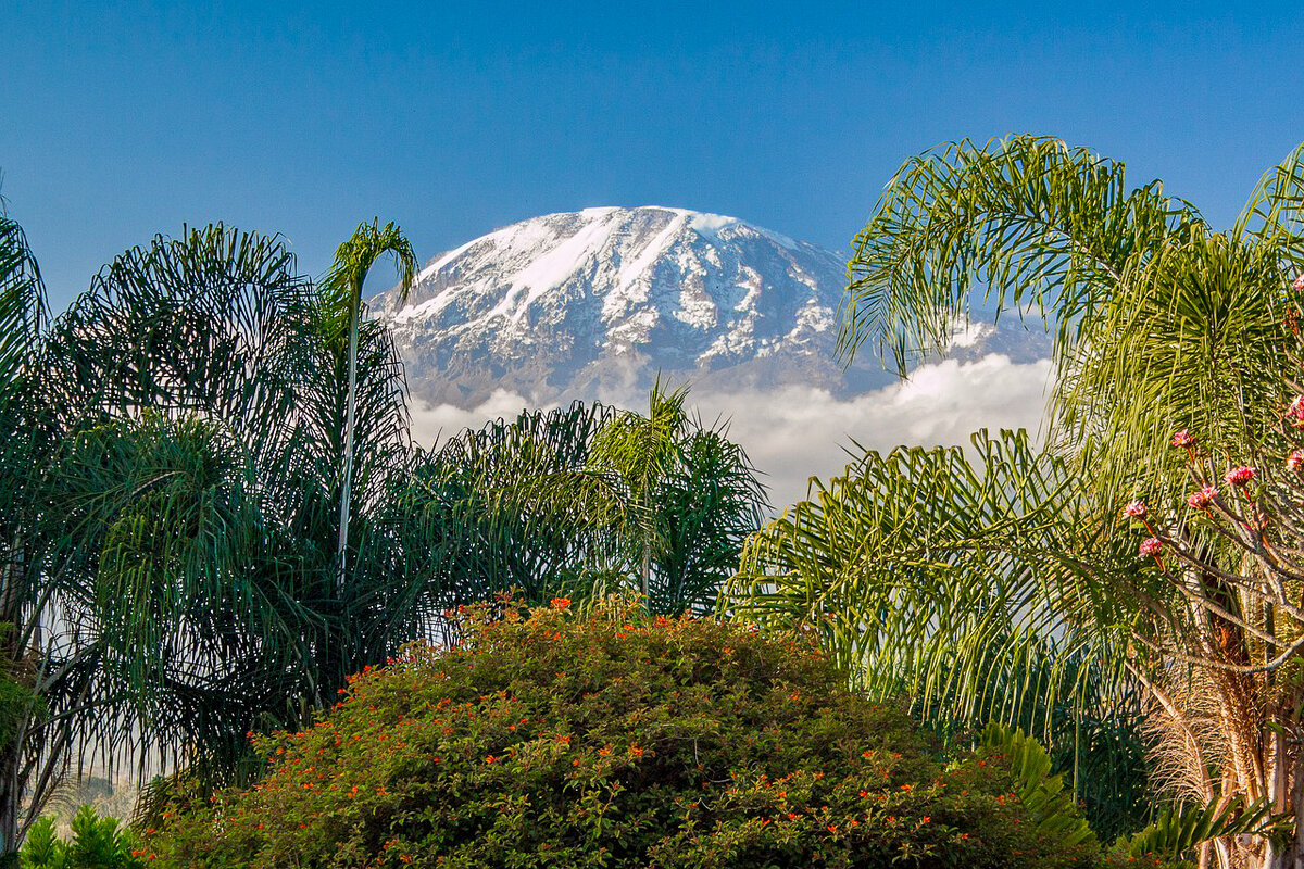 Климат Килиманджаро