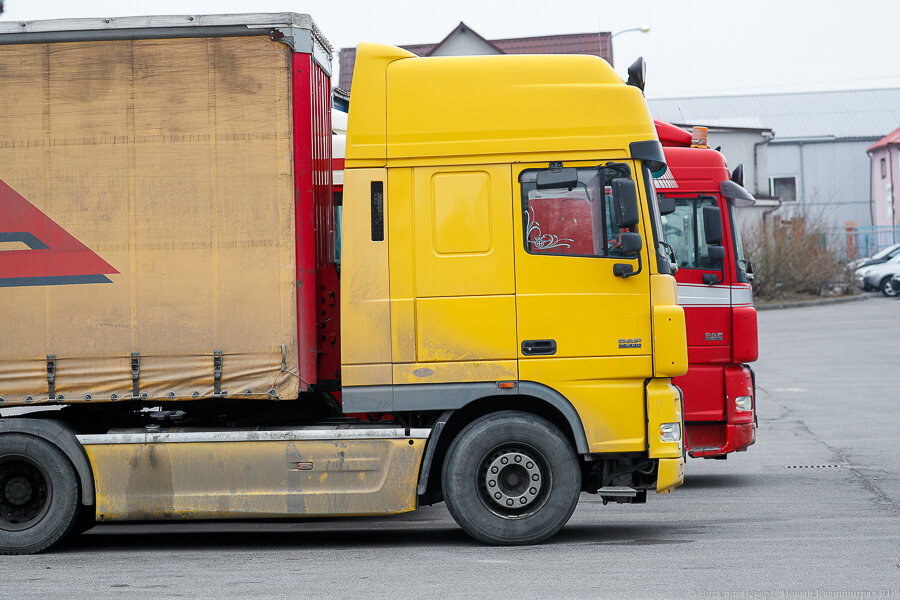 Фото: Виталий Невар / Новый Калининград