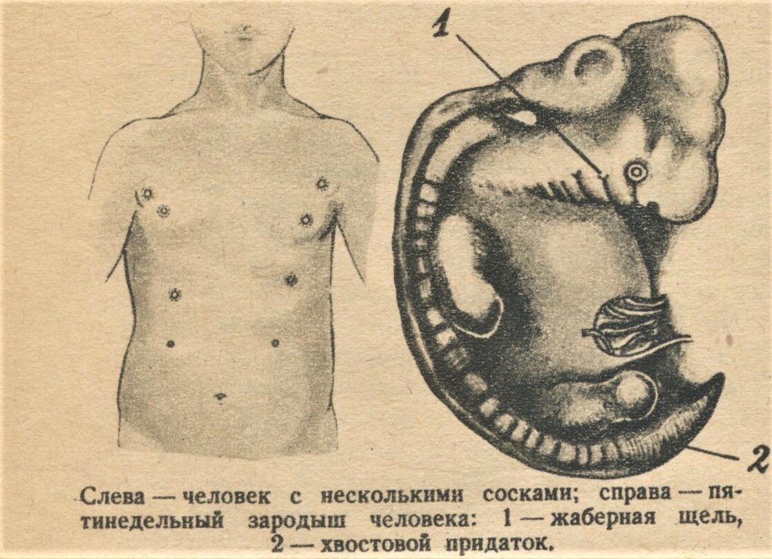 Становление журнала «Юный натуралист» | Челябинская Публичная библиотека |  Дзен