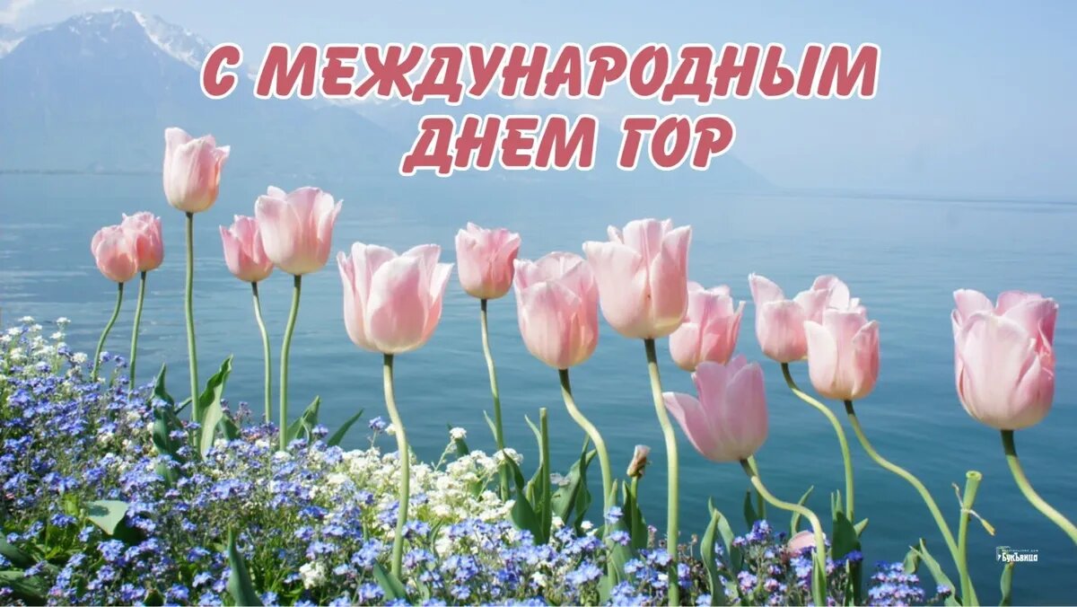 Красота гор завораживает. Фото: Весь Искитим