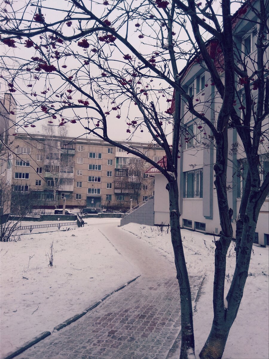 фото автора 