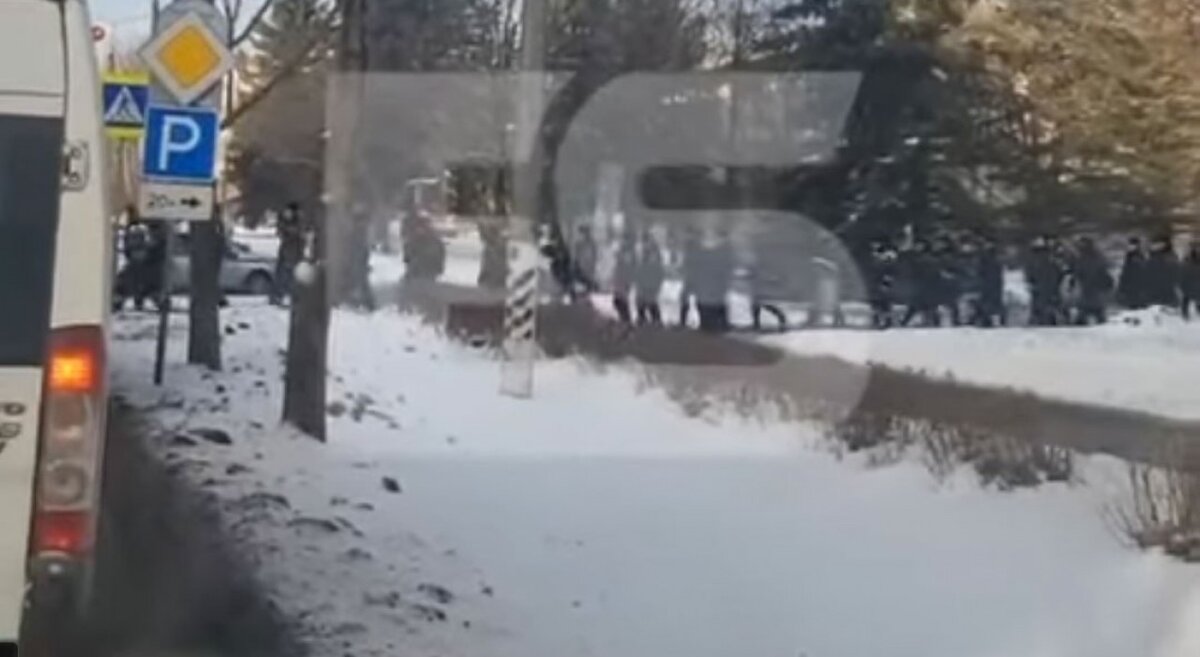    И оставила без комментариев. Татьяна Пульная