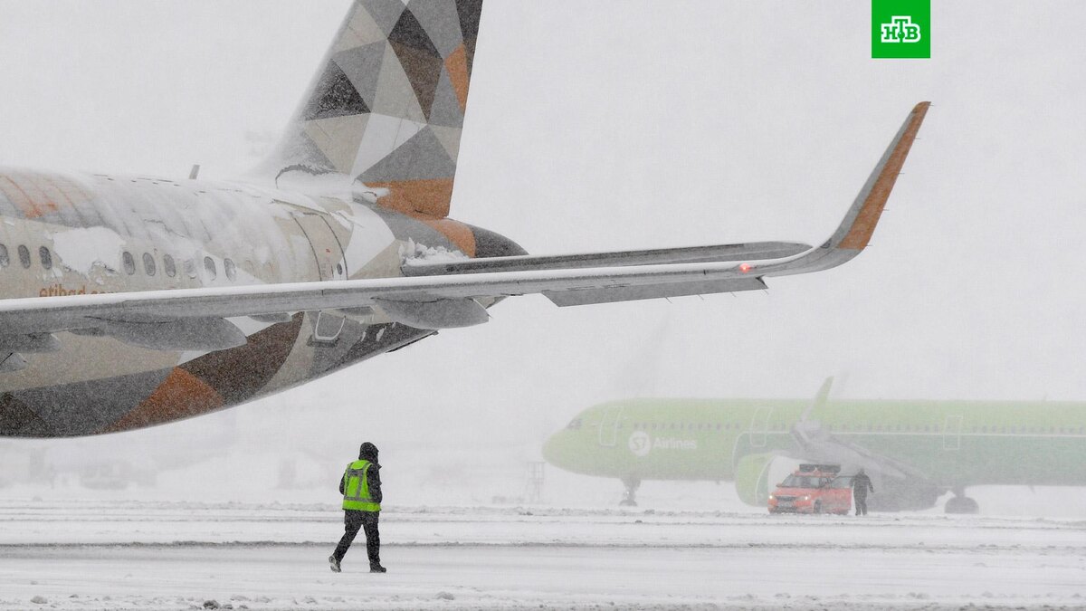    Фото: РИА Новости © 2022, Кирилл Каллиников