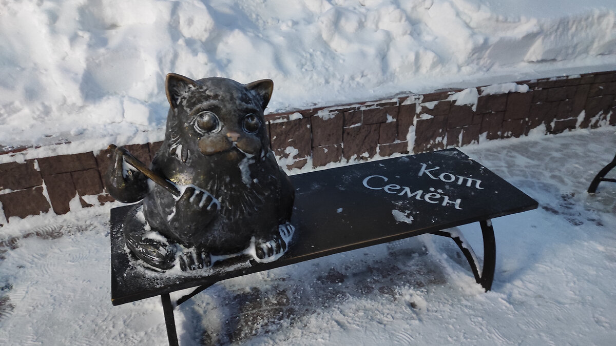 Кот Семён