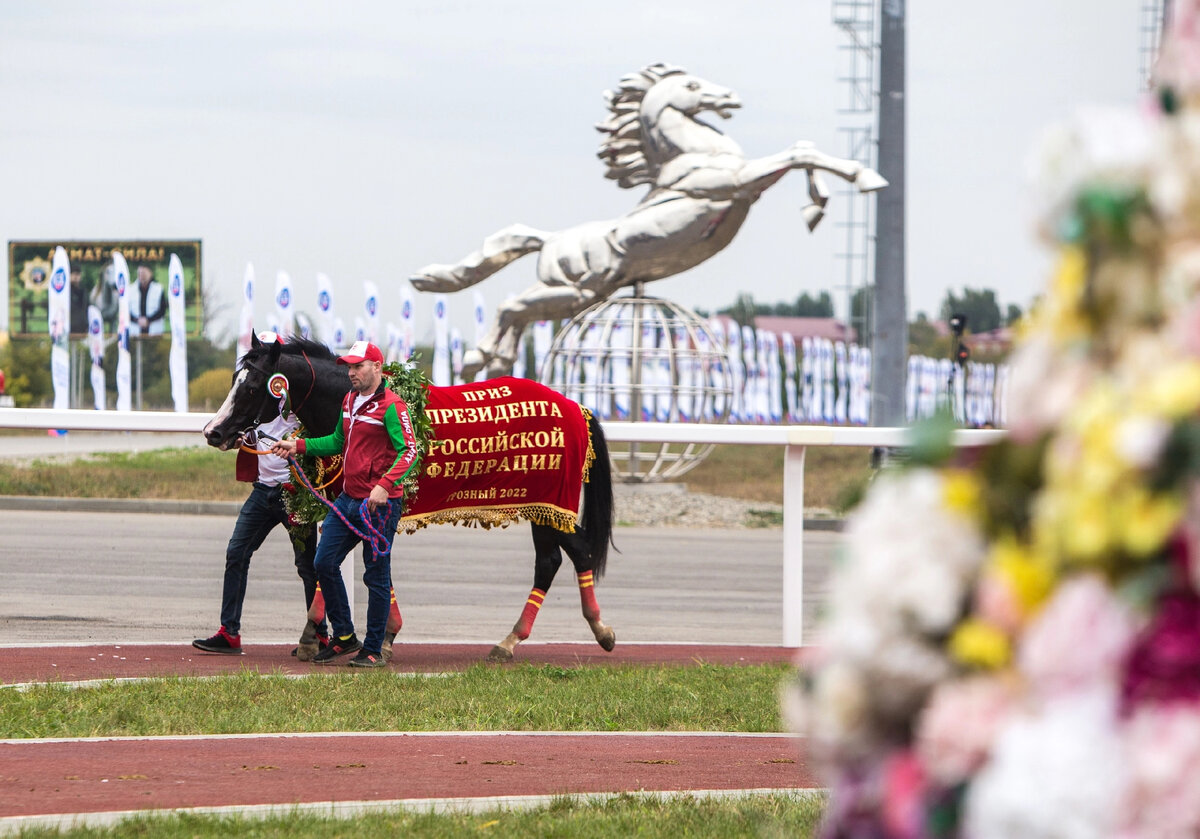 Флавтесс (Flat Out - Flattered), победитель Приза Президента РФ. Фото: Татьяна Шегушева