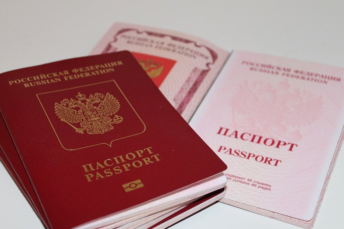     Синий, красный, зеленый и черный: почему паспорта бывают только четырех цветов?