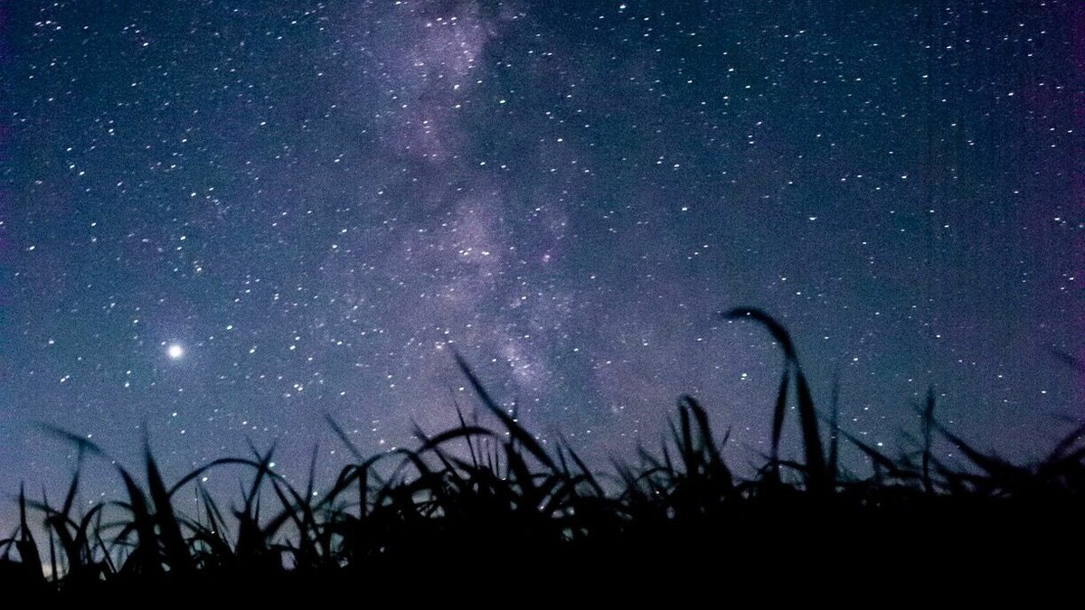     Своего максимума поток достигнет 13/14 декабря, сообщают в уфимском планетарии.