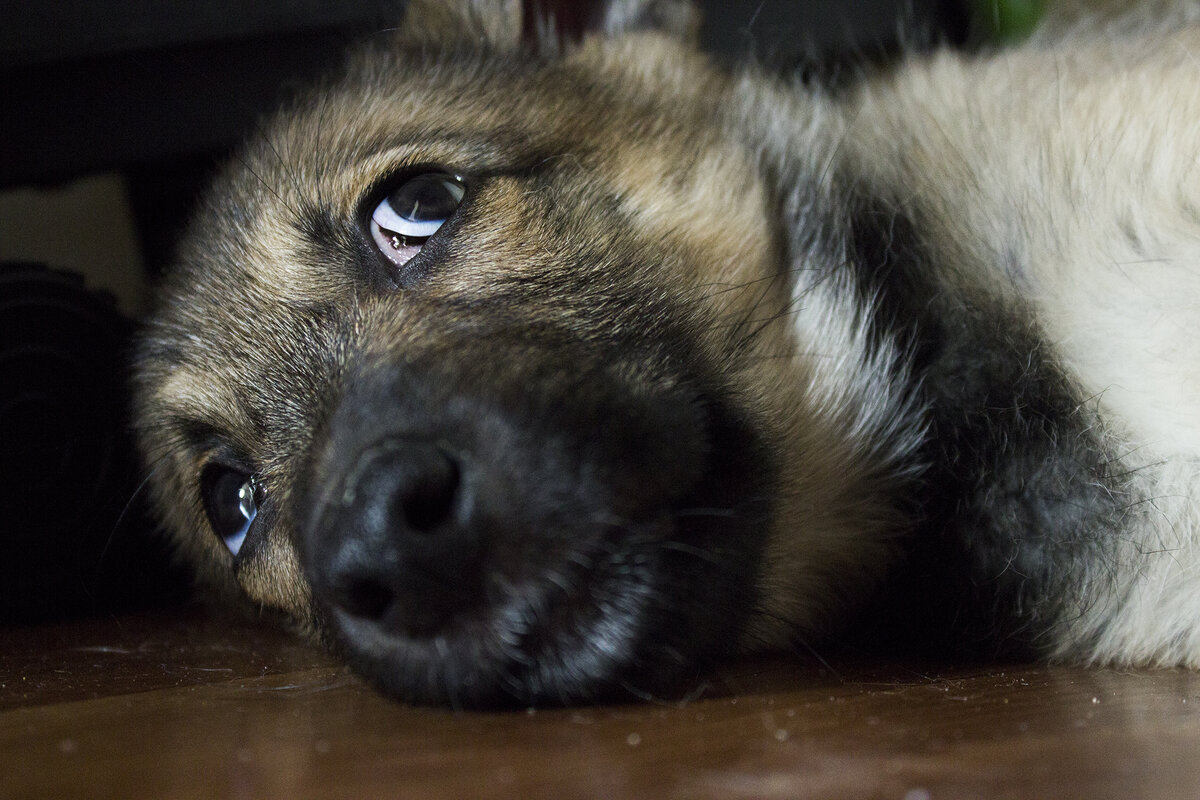А краски вообще невкусными оказались
