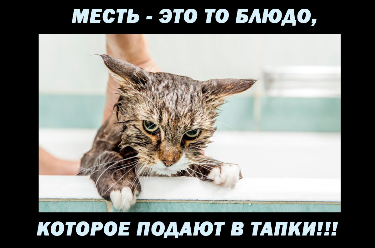 Картинка автора
