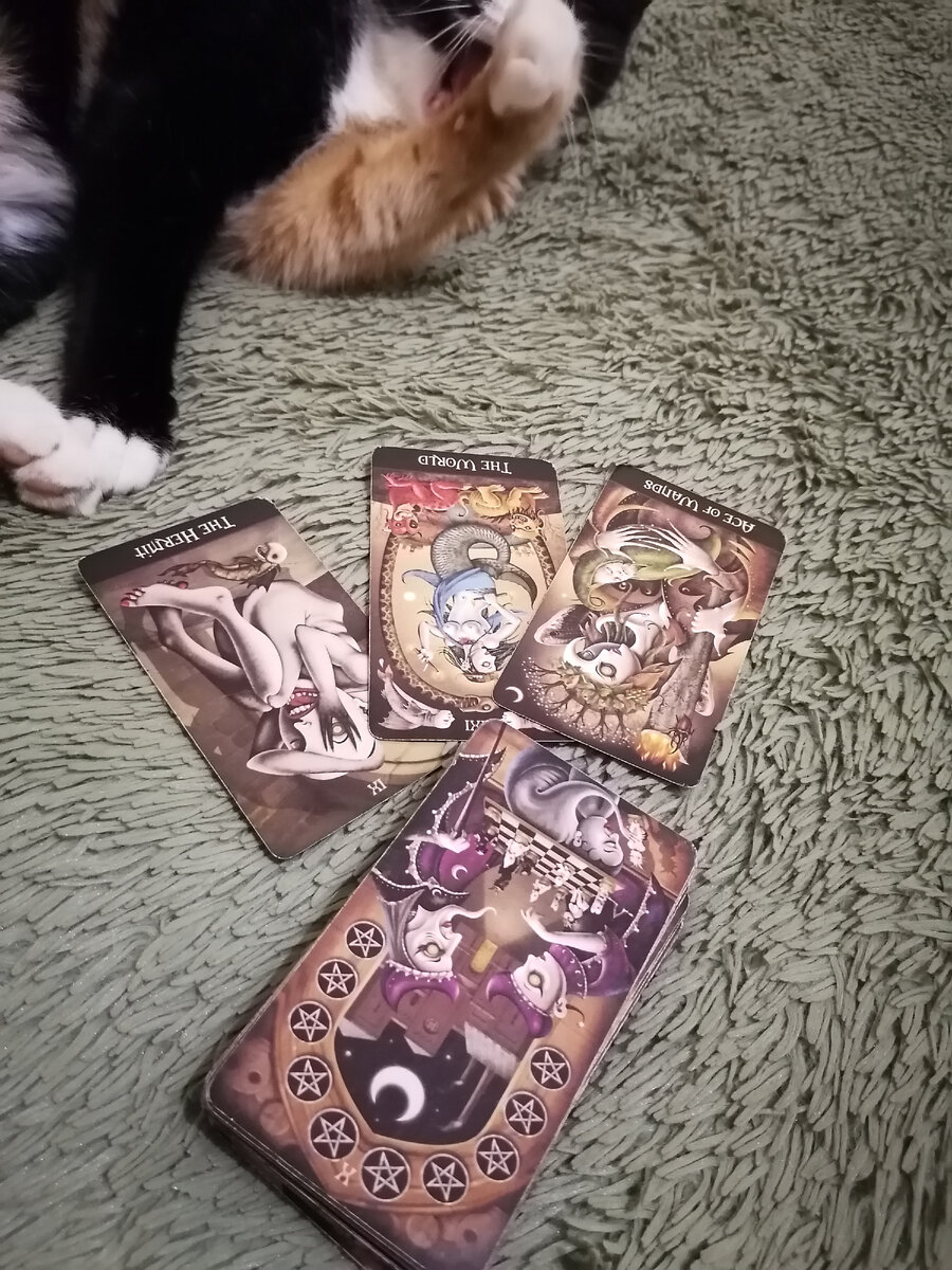 Фото автора.