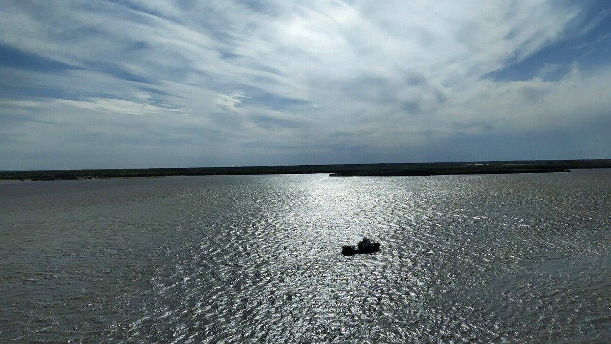     Главная дальневосточная водная артерия попала в новый федеральный проект по оздоровлению крупных рек России, старт которого запланирован на 2025 год.