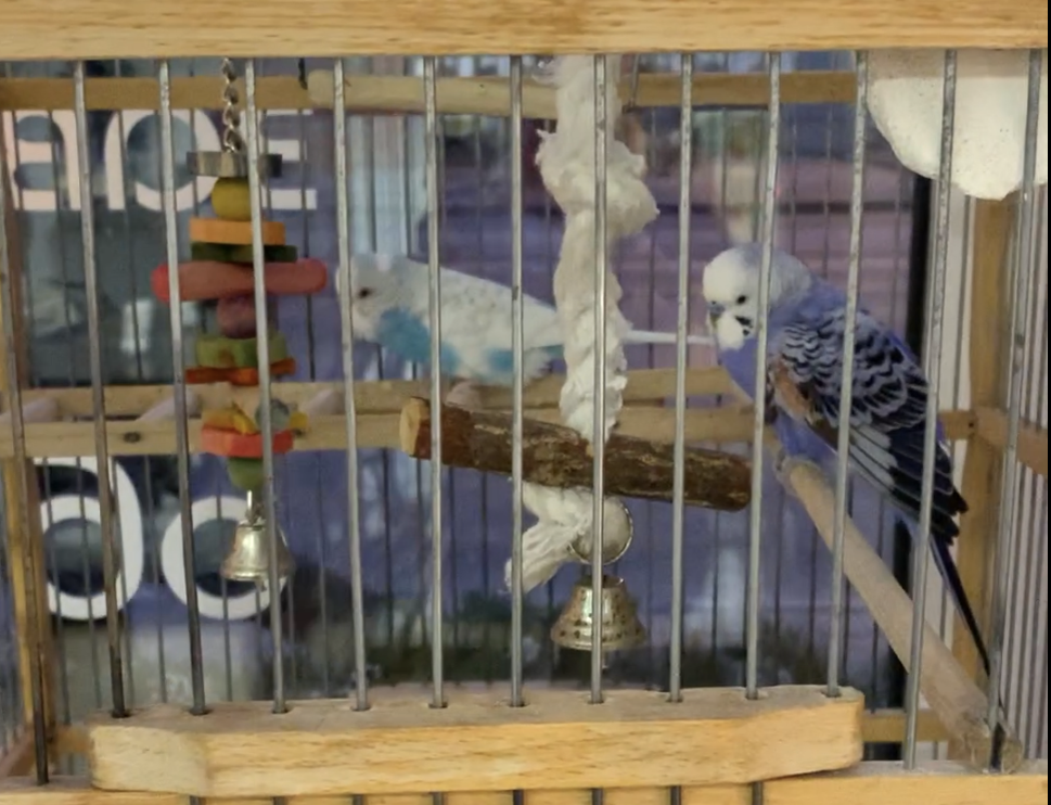 Фото автора. Листай галерею.