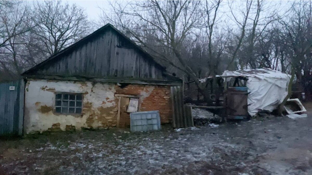    Фото: Дмитрий Красичков Елена Проколова