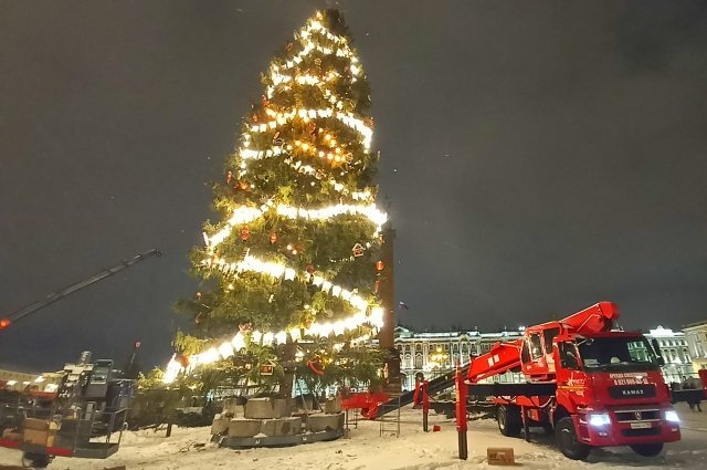    Когда украсят главную елку Петербурга на Дворцовой площади?