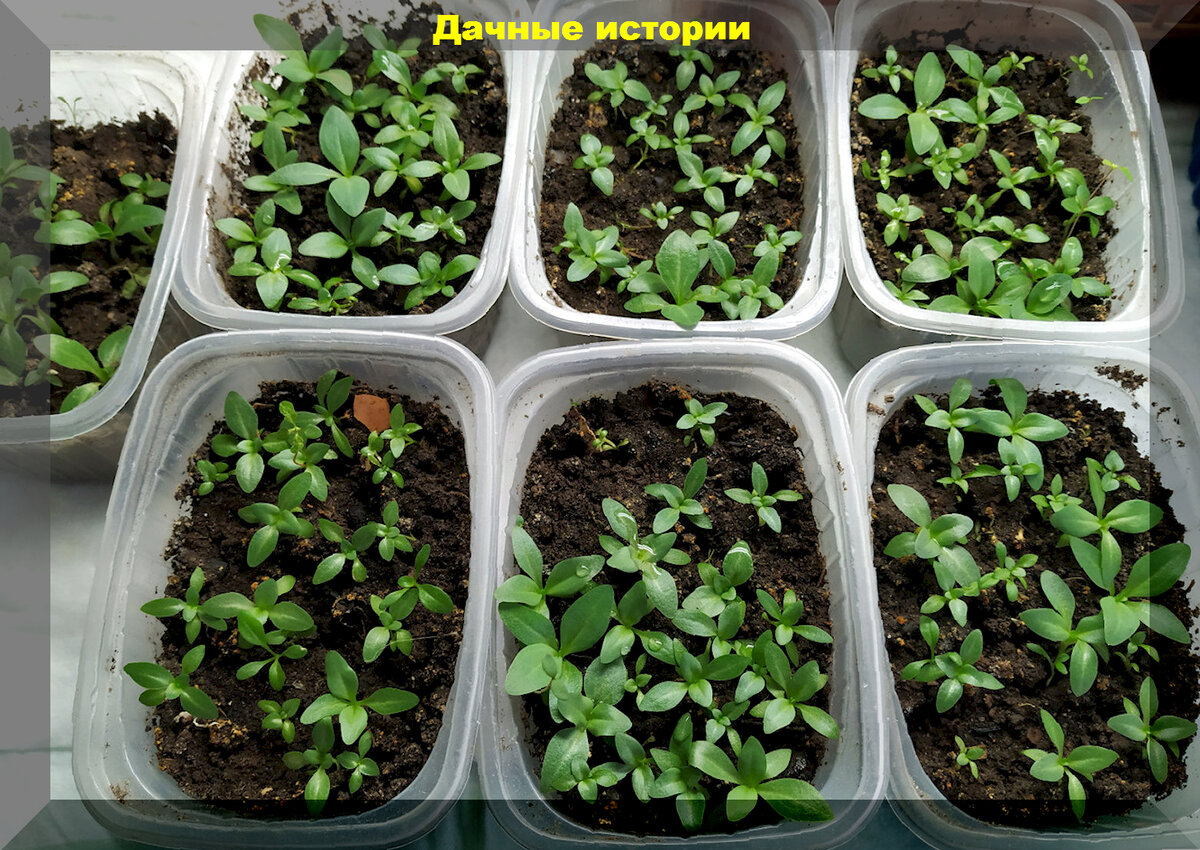 https://vk.com/photo-159774511_457257864