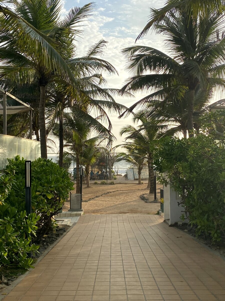 Riu Sri lanka 5*
