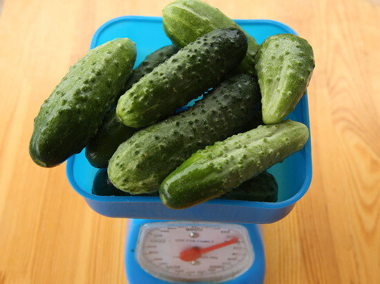   Лилия Шарловская