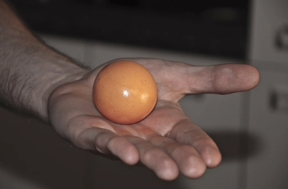 Яички в руках. Яйцо в руке. Куриное яйцо в руке. Яйцо в ладони. Два яйца в руке.